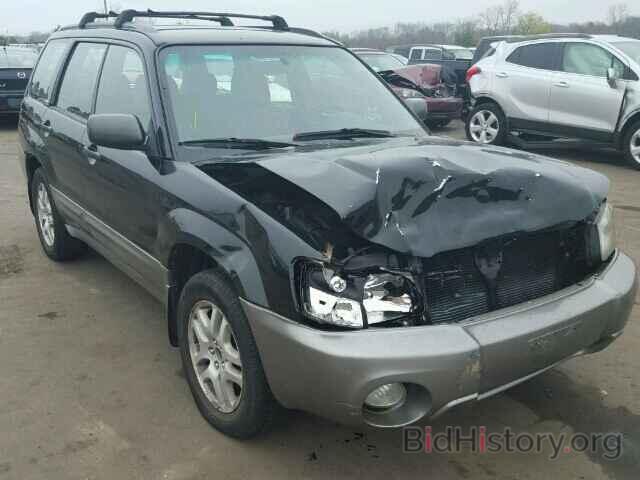 Photo JF1SG656X3H716176 - SUBARU FORESTER 2003