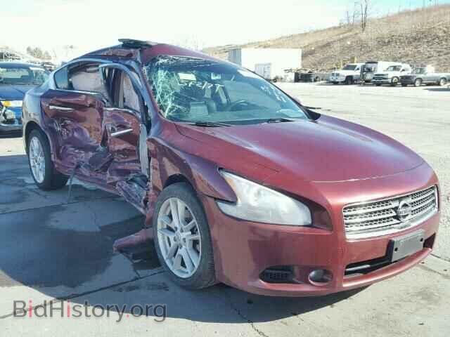 Photo 1N4AA51E39C828599 - NISSAN MAXIMA 2009