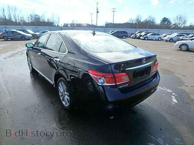 2010 LEXUS ES350 - VIN: JTHBK1EG7A2406439 - Фото 3