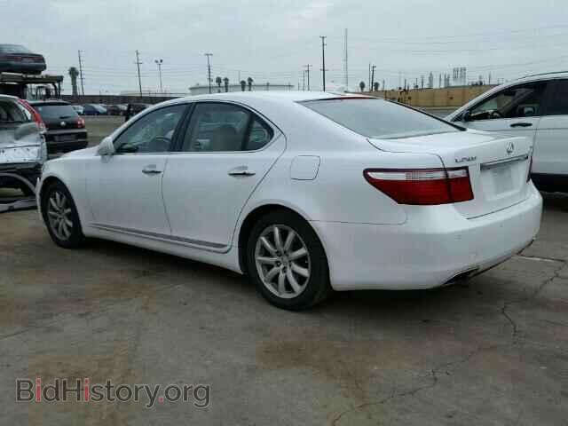 2009 LEXUS LS460 - VIN: JTHBL46F695087937 - Фото 3