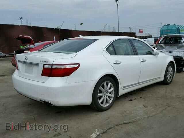 2009 LEXUS LS460 - VIN: JTHBL46F695087937 - Фото 4