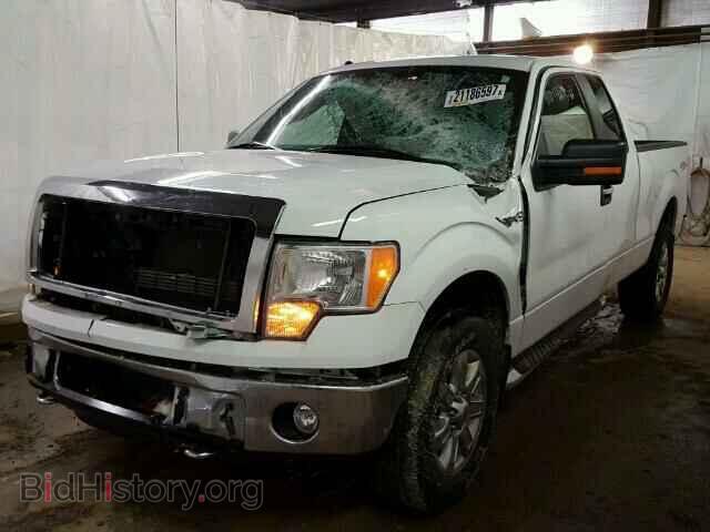 2013 FORD F150 - VIN: 1FTFX1EF4DFD01964 - Photo 2
