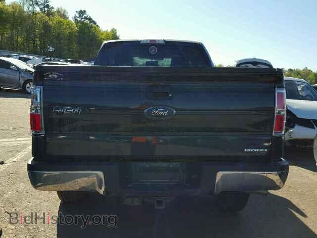2013 FORD F150 - VIN: 1FTMF1CM8DFC31753 - Фото 10