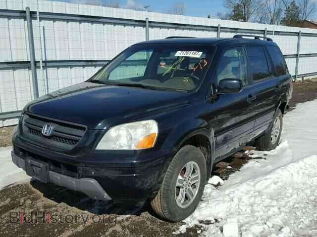 2005 HONDA PILOT - VIN: 5FNYF18465B048674 - Фото 2