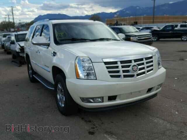 Photo N0V1N111516 - CADILLAC ESCALADE 2007