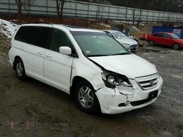 Фотография 5FNRL38605B046932 - HONDA ODYSSEY 2005