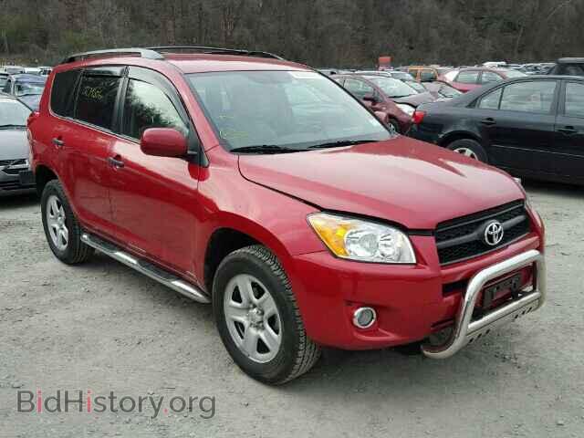 Фотография 2T3JF4DV0BW124882 - TOYOTA RAV4 2011