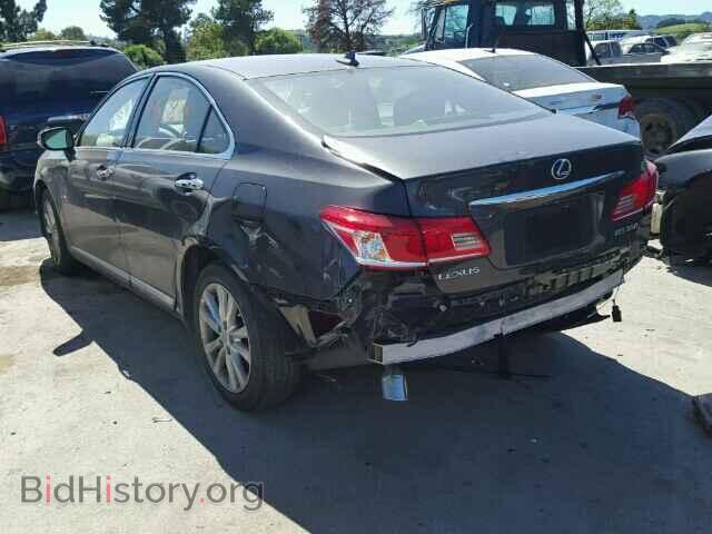 2010 LEXUS ES350 - VIN: JTHBK1EG2A2374032 - Фото 3
