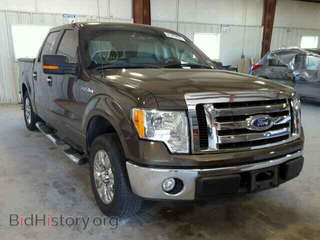 Фотография 1FTRW12849FA24634 - FORD F150 2009