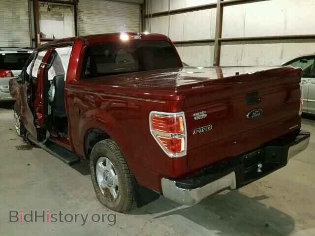 2014 FORD F150 - VIN: 1FTEW1CM9EFC01005 - Фото 3