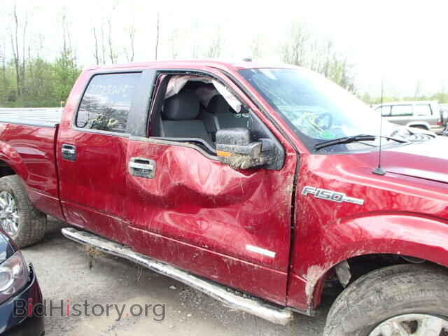 2013 FORD F150 - VIN: 1FTFW1ET9DFD65412 - Фото 10