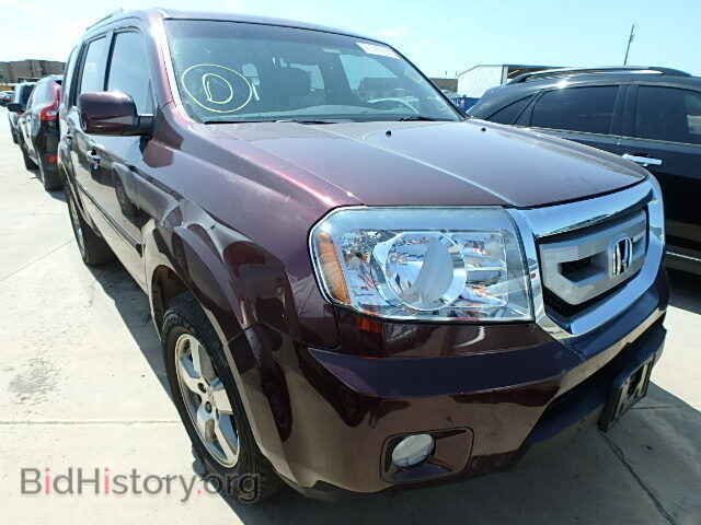 Фотография 5FNYF3H59BB022652 - HONDA PILOT 2011