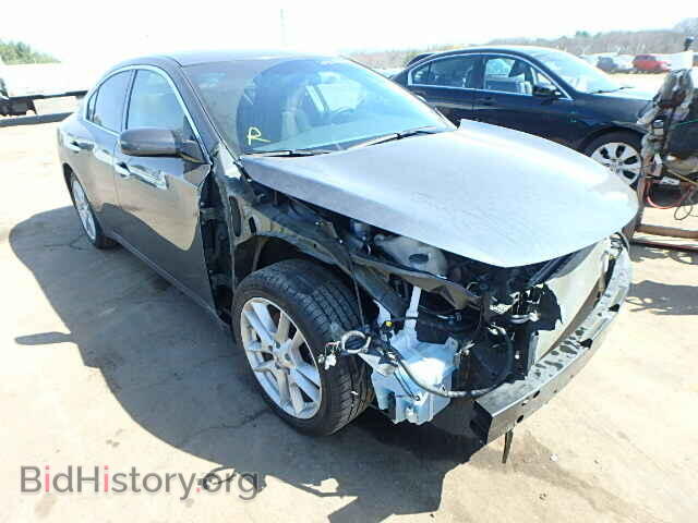 Фотография 1N4AA5AP7BC821968 - NISSAN MAXIMA 2011