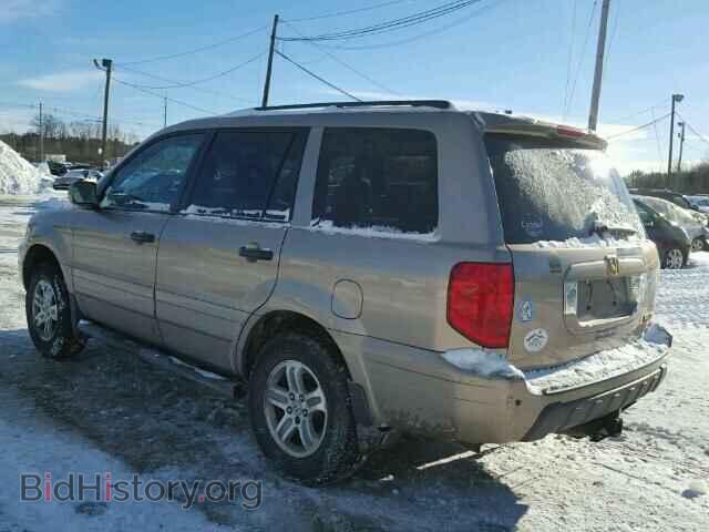 2005 HONDA PILOT - VIN: 5FNYF18665B018981 - Фото 3