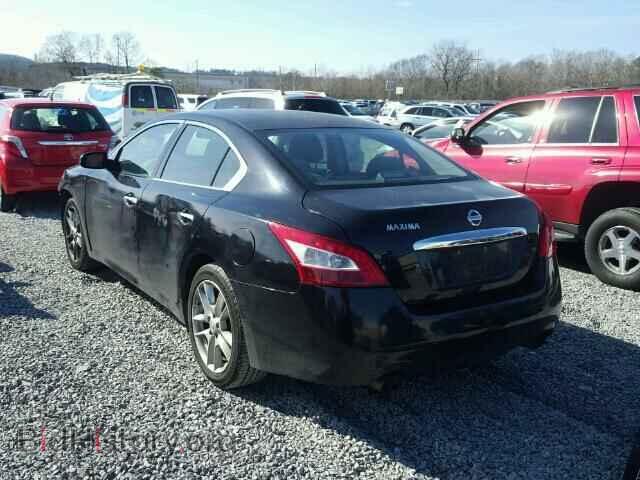 2010 NISSAN MAXIMA - VIN: 1N4AA5AP4AC810148 - Фото 3