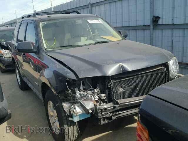 Фотография 1FMCU49339KA61166 - FORD ESCAPE 2009