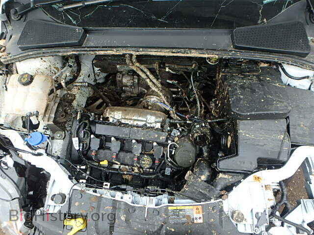 2014 FORD FOCUS - VIN: 1FADP3K29EL204353 - Photo 7