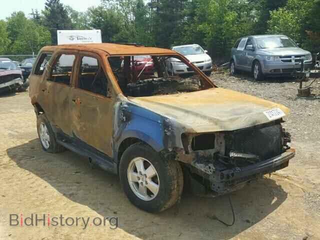 Фотография 1FMCU93G79KB17876 - FORD ESCAPE 2009