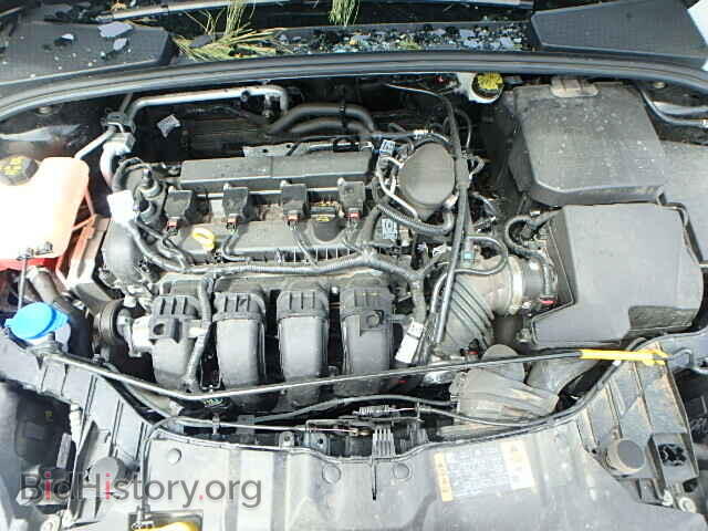 2014 FORD FOCUS - VIN: 1FADP3F20EL440917 - Photo 7