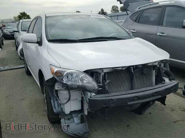 Фотография 2T1BU4EE2CC804951 - TOYOTA COROLLA 2012