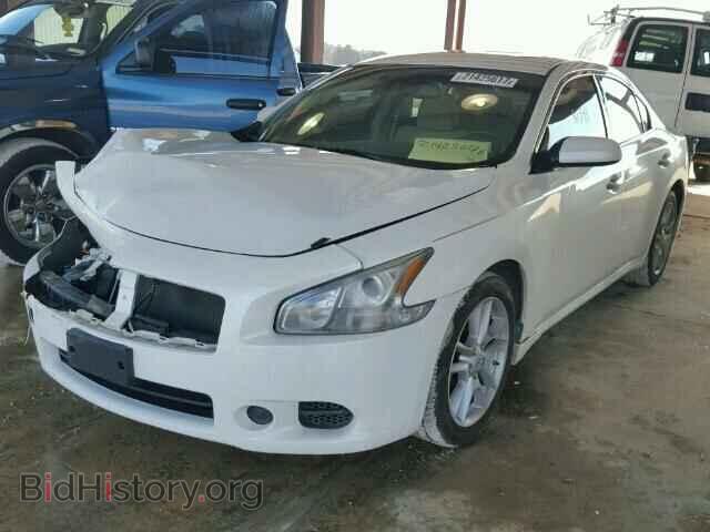 2009 NISSAN MAXIMA - VIN: 1N4AA51E29C855423 - Фото 2