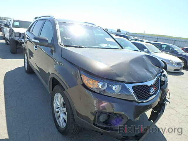 Photo 5XYKU4A18BG147479 - KIA SORENTO 2011