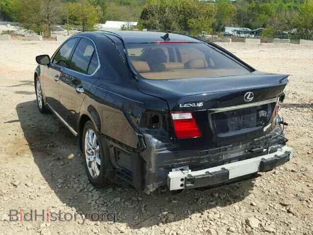 2009 LEXUS LS460 - VIN: JTHBL46F295090379 - Фото 3