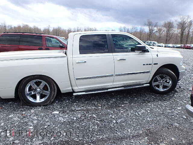 2010 DODGE RAM 1500 - VIN: 1D7RB1CTXAS226460 - Фото 10