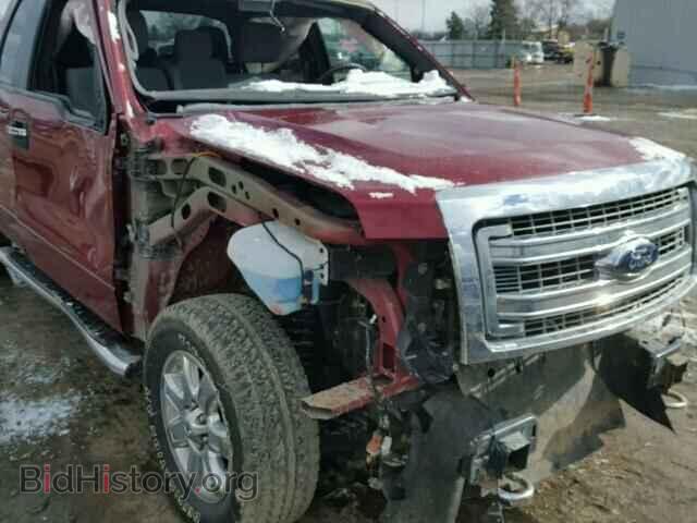 2013 FORD F150 - VIN: 1FTFX1EF3DFD66823 - Фото 9