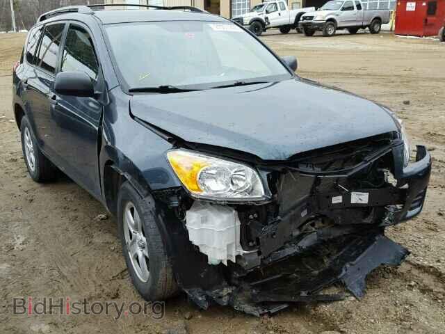 Фотография 2T3BF4DV5BW173614 - TOYOTA RAV4 2011