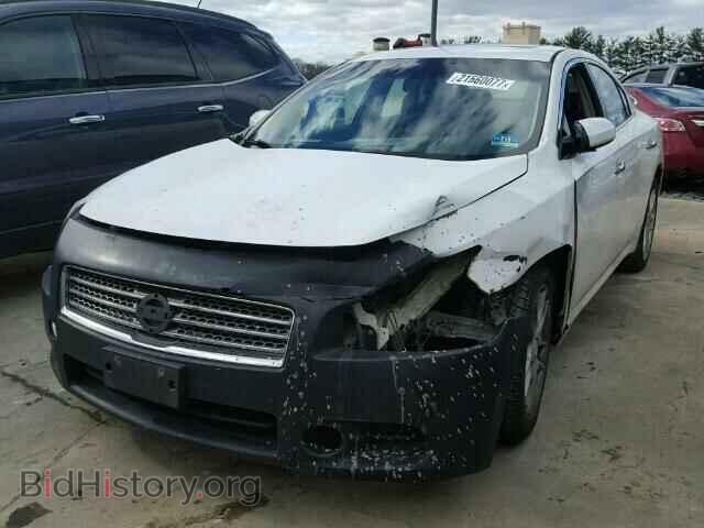 2009 NISSAN MAXIMA - VIN: 1N4AA51E99C816909 - Photo 2