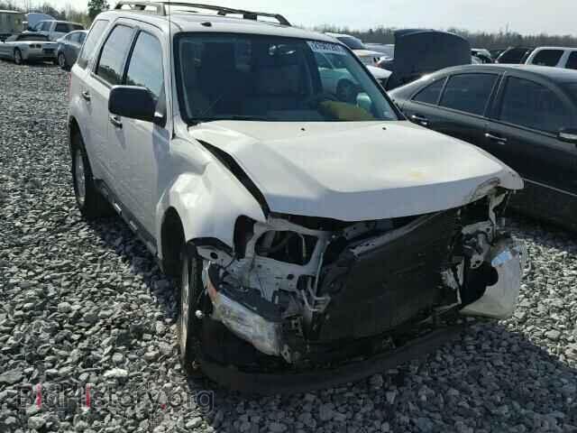 Photo 1FMCU0D72BKB32494 - FORD ESCAPE 2011
