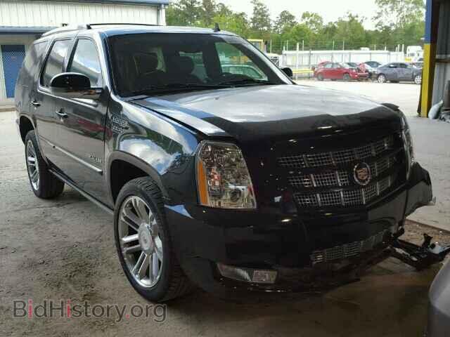 Фотография 1GYS3CEFXER167557 - CADILLAC ESCALADE 2014