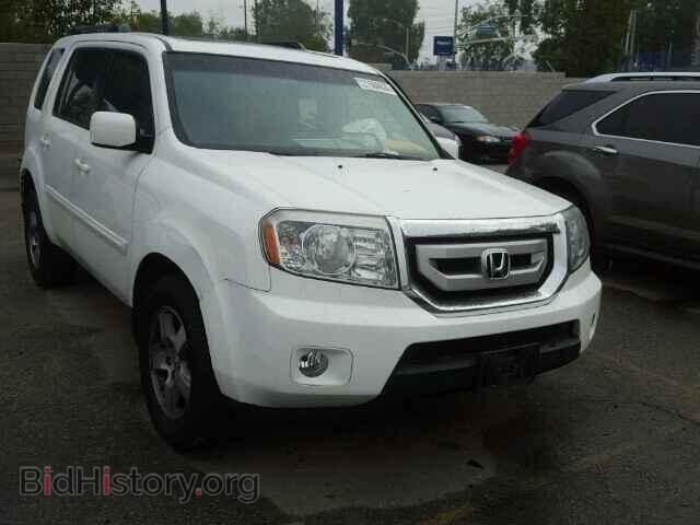 Photo 5FNYF3H71BB019651 - HONDA PILOT 2011