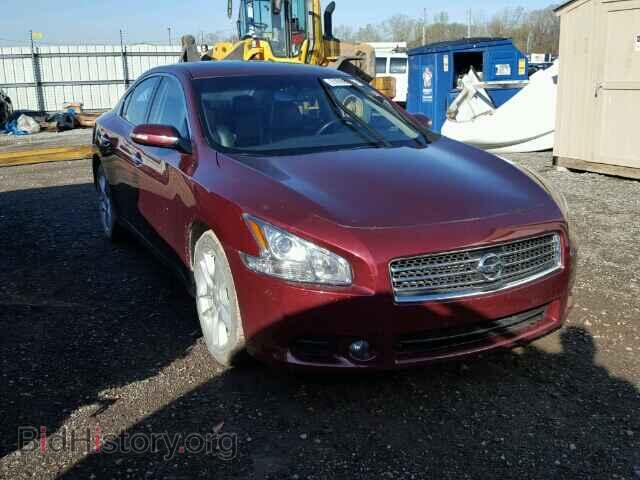 Фотография 1N4AA5AP2AC820306 - NISSAN MAXIMA 2010