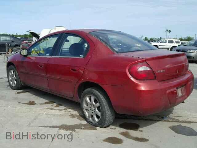 2005 DODGE NEON - VIN: 1B3ES56CX5D169393 - Фото 3