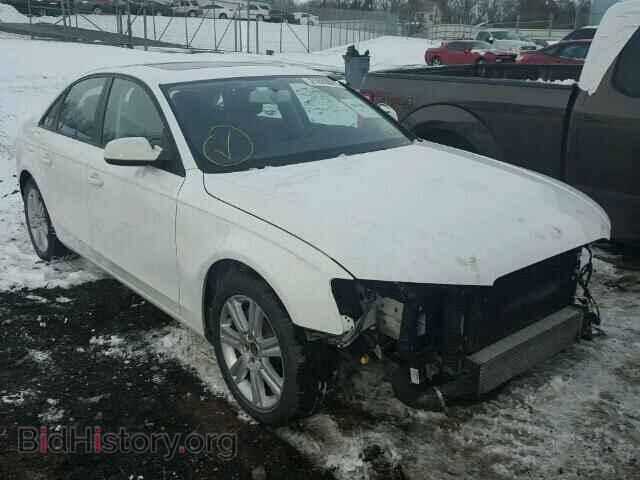 Фотография WAUBFAFL0BN049054 - AUDI A4 2011