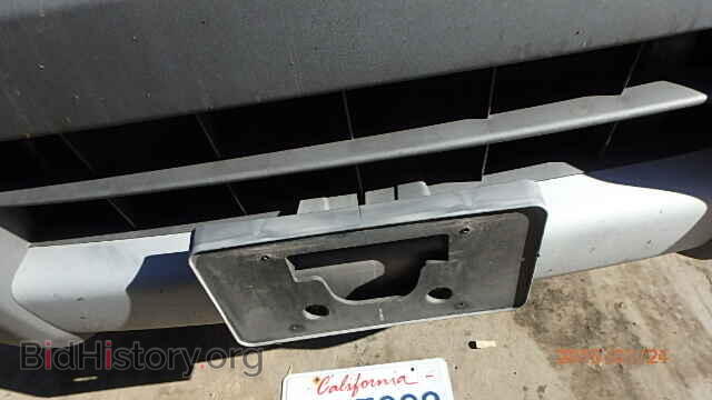 2004 HONDA ELEMENT - VIN: 5J6YH285X4L026076 - Фото 10