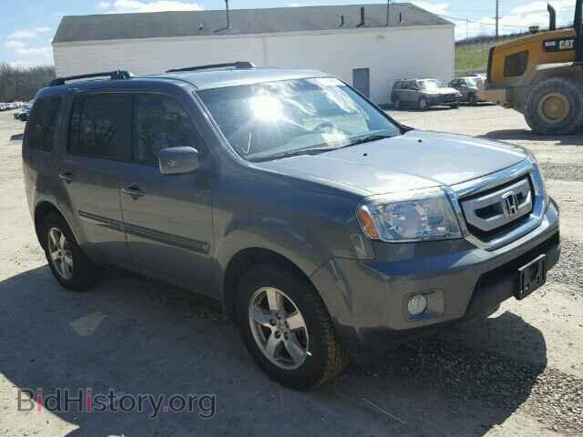Photo 5FNYF4H46BB029300 - HONDA PILOT 2011