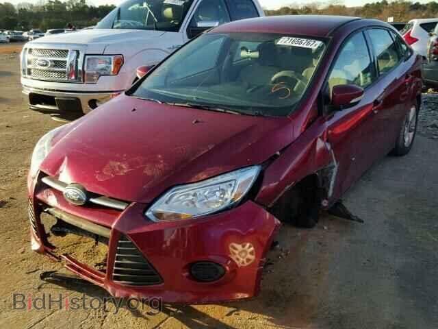 2013 FORD FOCUS - VIN: 1FADP3F22DL344706 - Фото 2