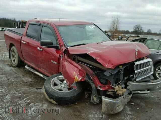 Photo 1D7RV1CT7AS100435 - DODGE RAM 1500 2010