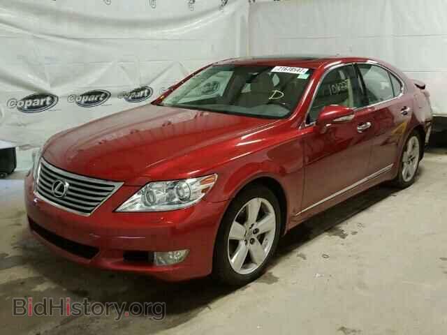 2011 LEXUS LS460 - VIN: JTHBL5EF0B5104258 - Photo 2