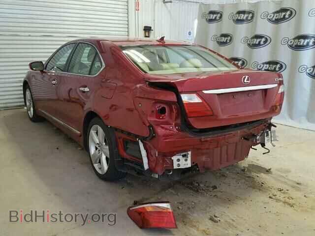 2011 LEXUS LS460 - VIN: JTHBL5EF0B5104258 - Photo 3
