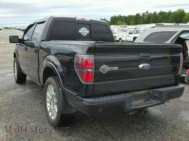 2011 FORD F150 - VIN: 1FTFW1E67BFA32973 - Фото 3
