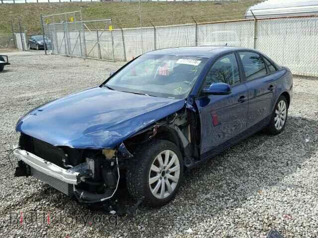 2013 AUDI A4 - VIN: WAUBFAFL6DA172254 - Фото 2