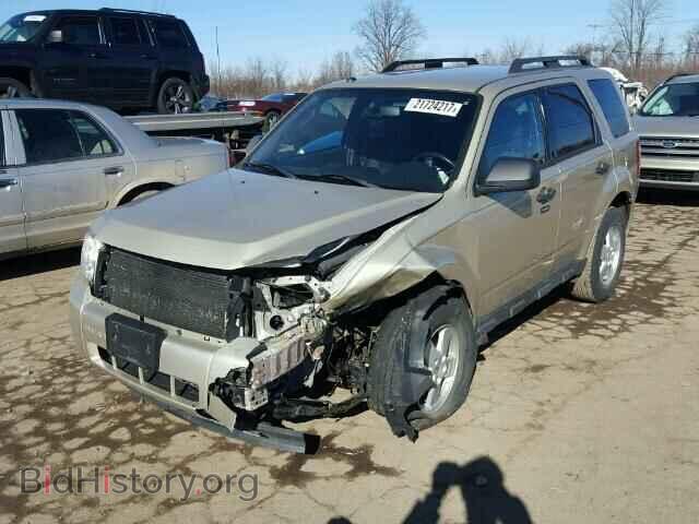 2011 FORD ESCAPE - VIN: 1FMCU0DG3BKA67607 - Photo 2