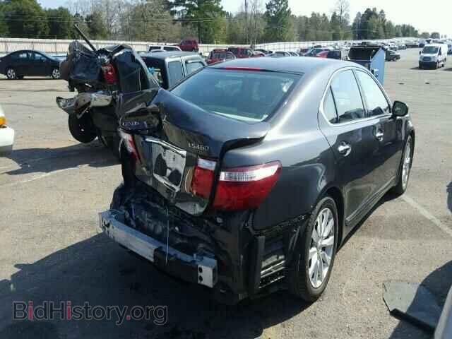 2008 LEXUS LS460 - VIN: JTHBL46F685076080 - Фото 4