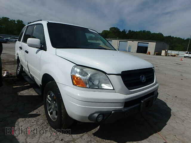 Photo 5FNYF18615B004549 - HONDA PILOT 2005