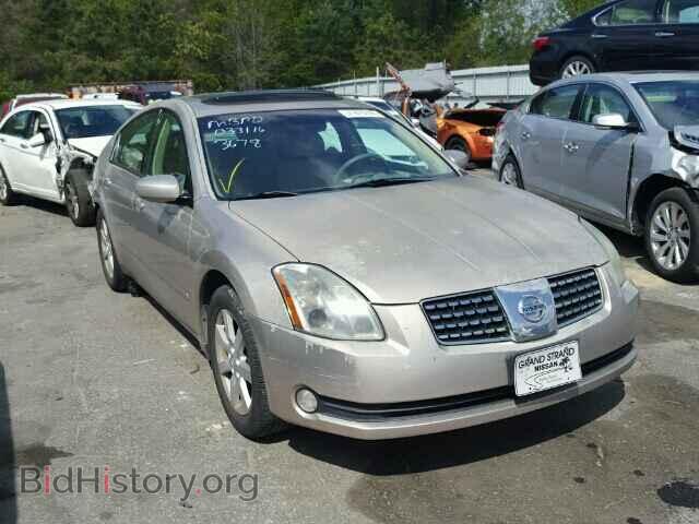 Фотография 1N4BA41E55C803678 - NISSAN MAXIMA 2005