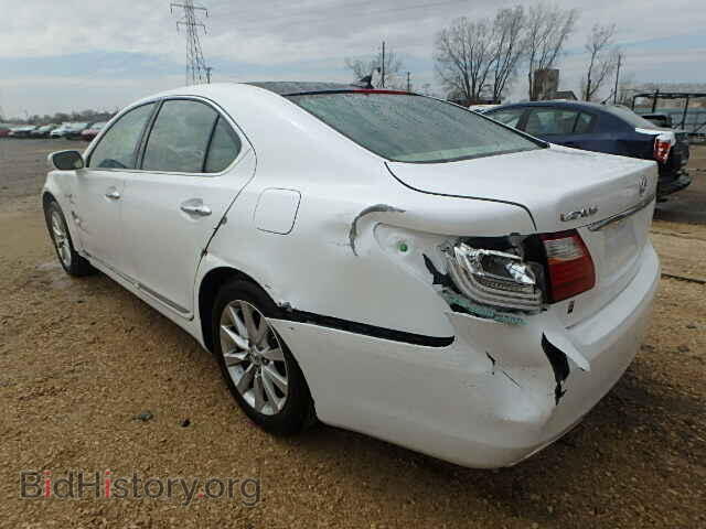 2010 LEXUS LS460 - VIN: JTHCL5EF9A5008244 - Фото 3